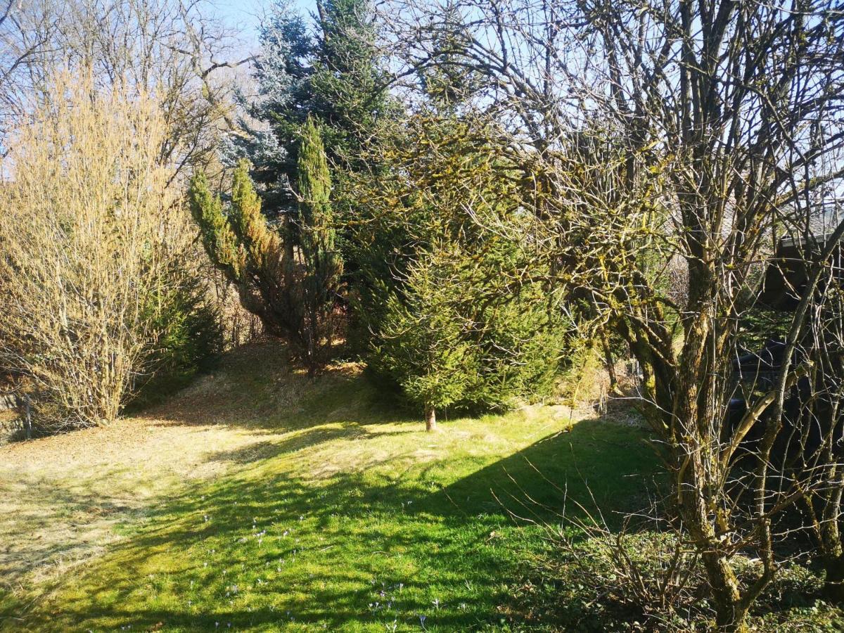 Ferienwohnung Dinkelbergblick Oeflingen Wehr  Exteriér fotografie